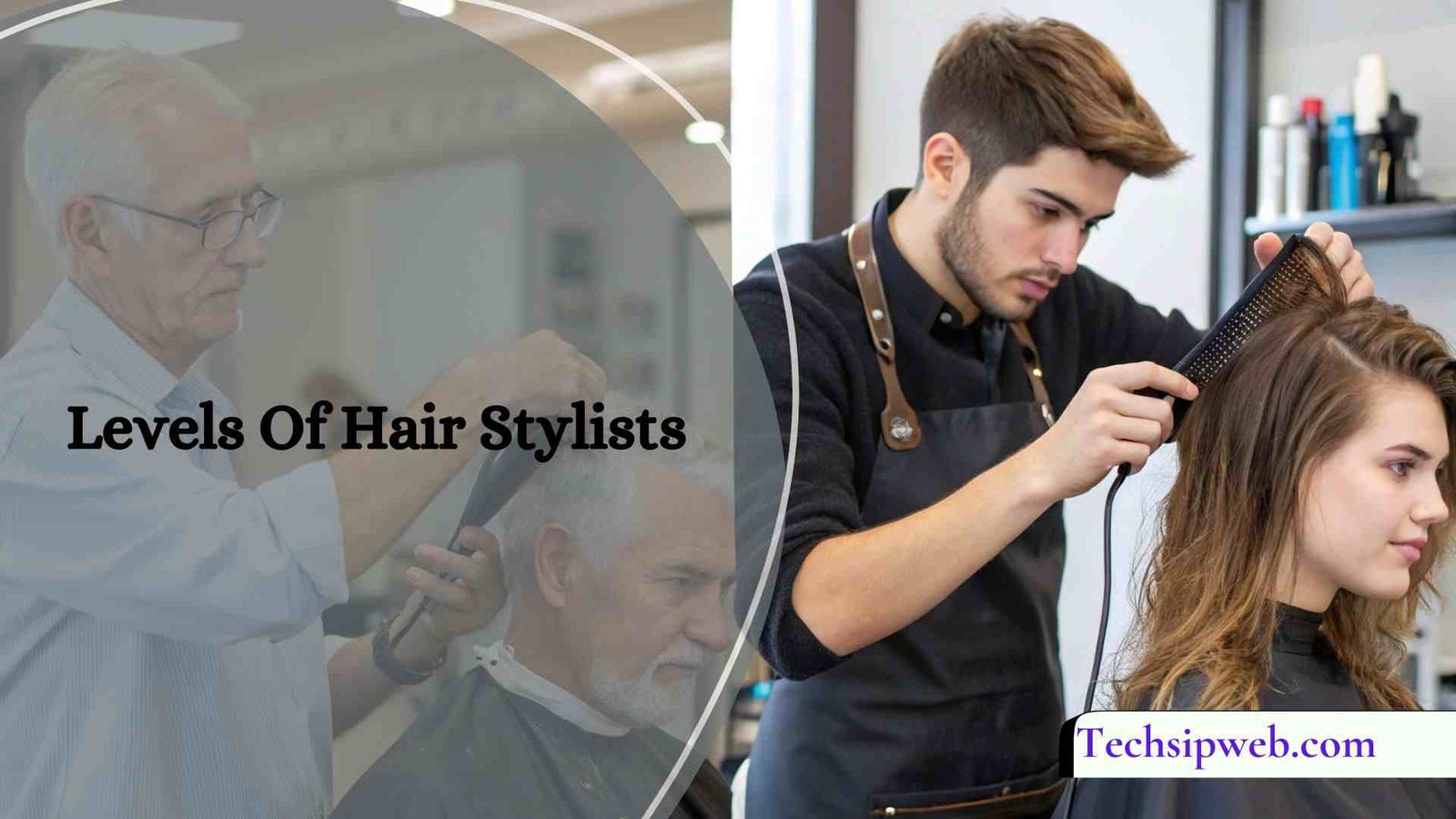 Levels Of Hair Stylists