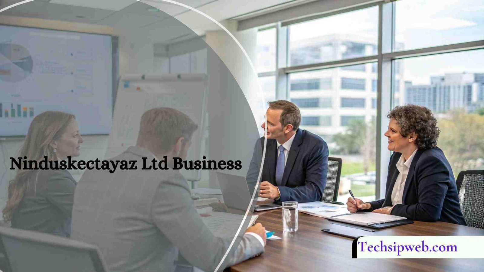 Ninduskectayaz Ltd Business