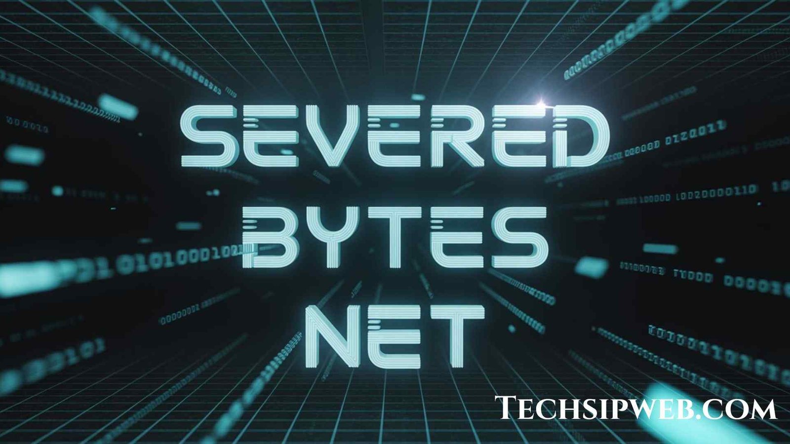 Severed Bytes Net